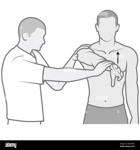 apprehension test labral tear|positive o'brien's test shoulder.